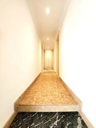 Four Seasons Park (D10), Condominium #589265311